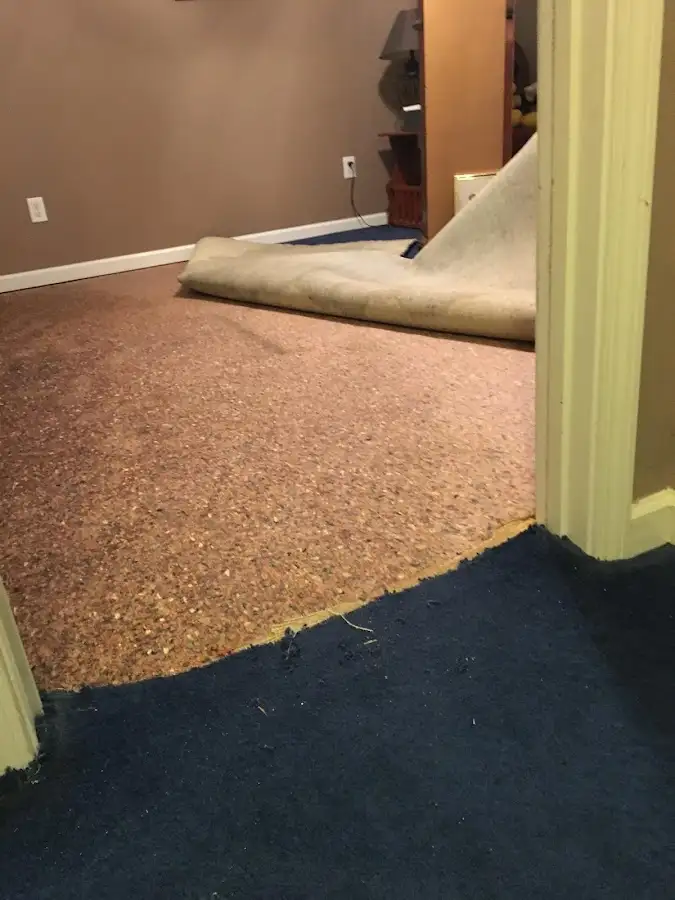 Carpet pad removal revealing water damage during Drying & Dehumidification in Middleborough